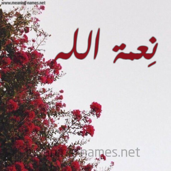 شكل 18 صوره الورد الأحمر للإسم بخط رقعة صورة اسم نِعمة الله NEAMH-ALLH